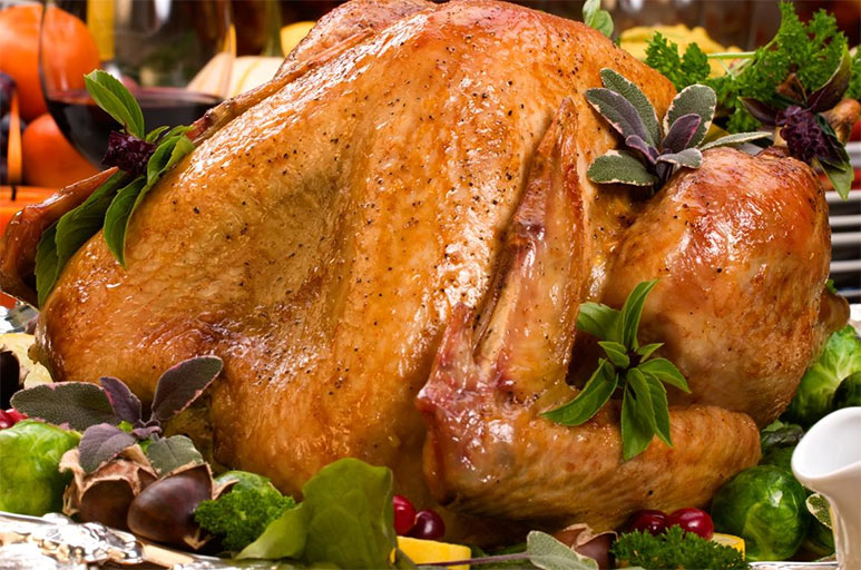 Thanksgiving Turkey Recipes